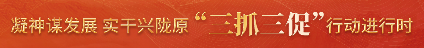 “三抓三促”行动进行时